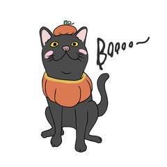 Black cat in pumpkin Halloween costume cartoon vector illustration	
