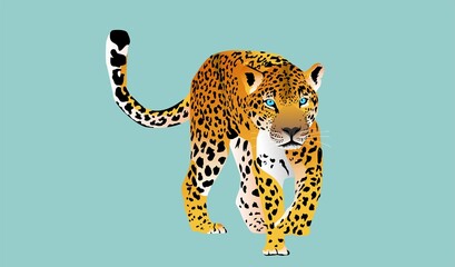 Leopard  walking forward, vector, Hunting style big cat print on blue background. 