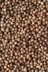macro texture spice coriander seeds