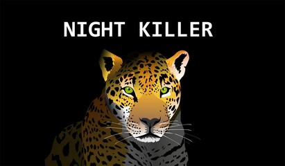 Fototapeta na wymiar Colorfull Leopard lying and looking forward in the dark shadow vector illustration