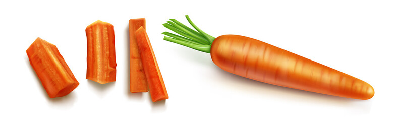 Carrot vector isolated illustration. Orange vegetable with green leaves and shadow in realistic style on white background. Chopped round slices and sticks or bars