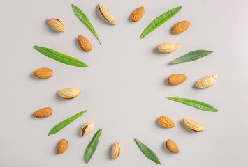 Mock up of almond nuts and green leaves on a gray background