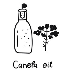 Canola oil. Vector outline icon illustration on white background