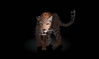Leopard in the dark walking, vector, Hunting style big cat print on black background. 