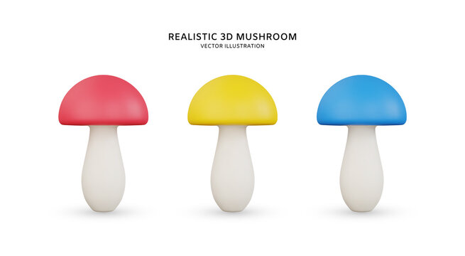 Realistic 3d Mushroom Vector Illustration