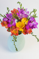 High angle, vertical closeup of colorful freesia flowers in pale green vase on white background (selective focus)
