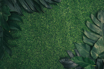 green grass on white background