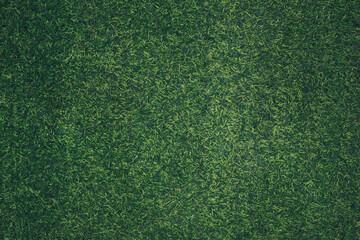green grass texture