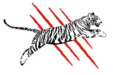 vector tiger on a white background 