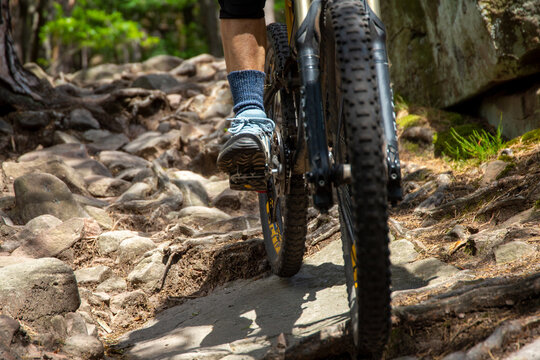 Mountainbiker im Pf&auml;lzerwald f&auml;hrt einen  verblockten Trail im Bereich S2 bis S3 der Singeltrailskala