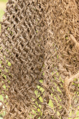old burlap material as background