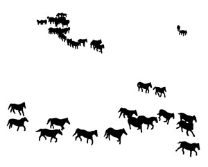 black shadow illustration Herds of wild horses are migrating.
