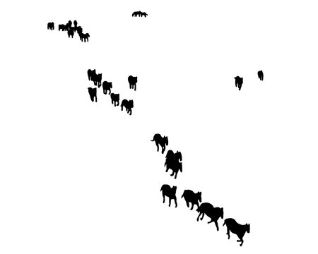 black shadow illustration Herds of wild horses are migrating.