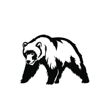 bear logo design vector illustration