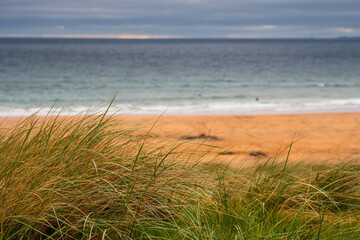 Tall grass grows on sandy dune by the ocean. Cloudy sky. Nature landscape. Calm and peaceful mood. West of Ireland.