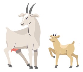 Goat and goatling, farming and domestic animals