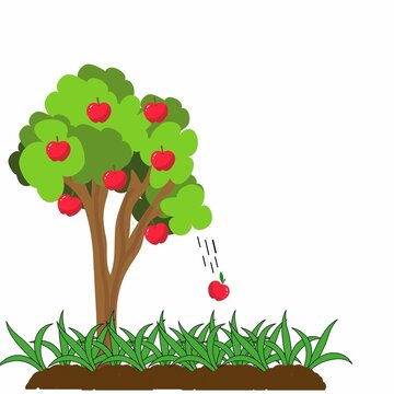 Vector Illustration Of Apple Tree And Falling Apples. 2d  Illustration Vector 