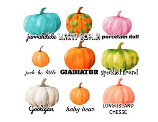 Pumpkin bundle illustration, Hello Fall illustration, Leopard Pumpkin, Thanksgiving T-shirt