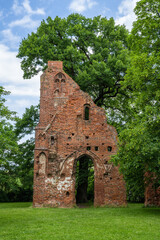 Fototapeta premium Kloster Eldena bei Greifswald