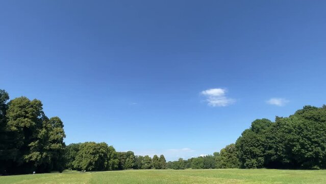 Summer park with blue sky and copy space