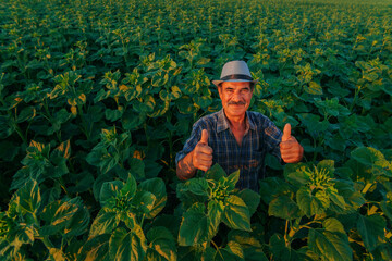 hispanic american man satisfied farmer looking at camera and showing thumb up - obrazy, fototapety, plakaty
