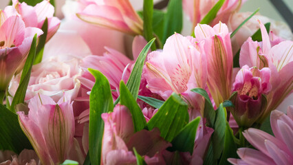 Obraz premium Gently pink flowers close-up. Floral background.