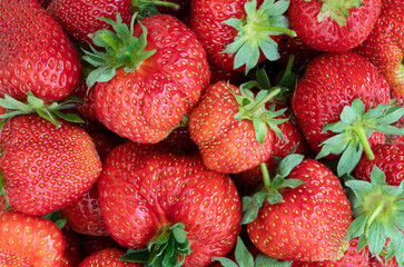 Food background. Ripe red strawberries close up