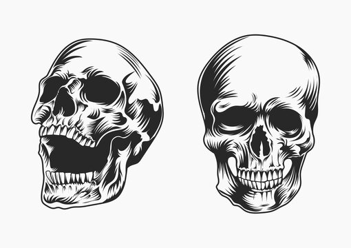 Vintage human skull concept
