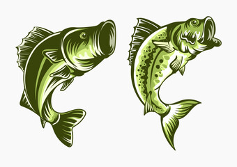 Fish vector illustration for print items and t-shirt