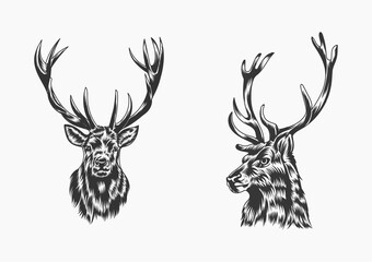 Hunting Deer Head Silhouette