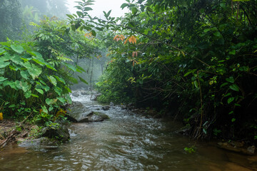 Obraz premium waterfall in the forest