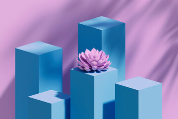 Studio shot of blue pedestals and single pink colored succulent plant