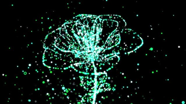 4K abstract animation of a blooming flower