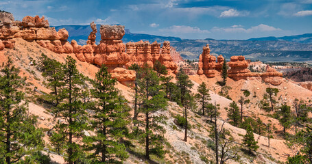 Fototapeta na wymiar The Hoodoos of Bryce Canyon, Utah, USA