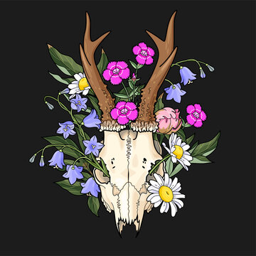 Deer Skull With Meadow Flowers Vector Illustration