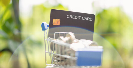 Credit Card. shopping cart and coin with green nature background and copy space concept online shopping and Payments