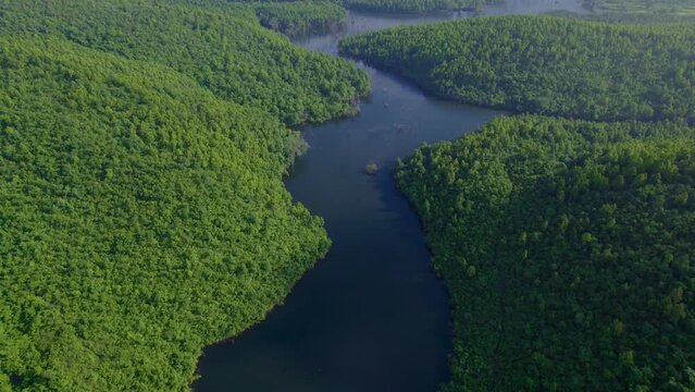 Aerial landscape with green hills, river and forest
