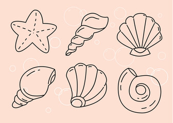 Linear seashell icon set