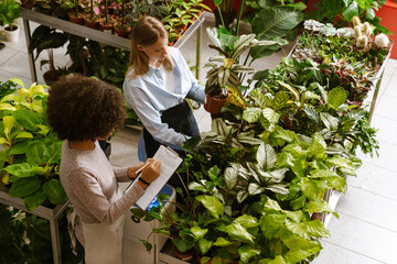Multinational florist girls working with potted plants in flower shop