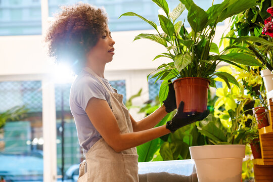 Young florist girl holding potted plant while working in flower shop