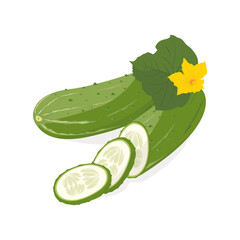 Cucumbers set. Whole cucumber, half, chopped, slices and cucumbers group. Fresh green cucumbers. Organic vegetables. Healthy, diet, vegetarian food. Vector illustration isolated on white background.