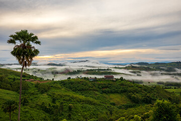 Fototapeta na wymiar White Mist early Morning sunrise over the hill and Bungalow wide field with palm tree during rainy season of Thailand