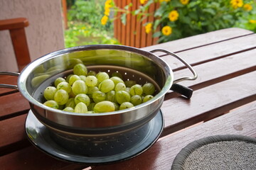 Fresh gooseberry fruit on a strainer