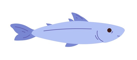 Sea bass fish hand drawn illustration. Flat vector illustration isolated on white background