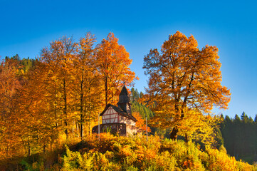 Autumn in the Black Forest, Germany