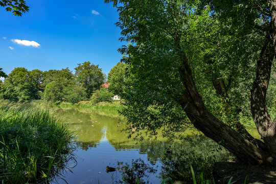 Das Breitkopfbecken im Zentrum der denkmalgesch&uuml;tzten "Paddenpuhl"-Siedlung in Berlin-Reinickendorf (Blick von Osten)
