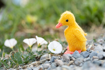 knitted toy duckling