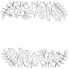 Autumn background with space and border of leaves, mushrooms, acorns, berries on edges. For invitation, ending, frame, children's print, or coloring. The theme is forest, happy fall, thanksgiving
