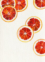 Citrus fruit grapefruit orange red slices cut on a white background, watercolor