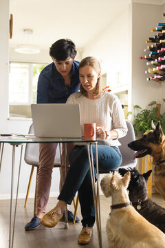 Caucasian lesbian couple working over laptop on table by german shepherd and scottish terriers